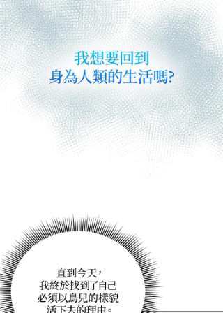 传令鸟公主殿下34话