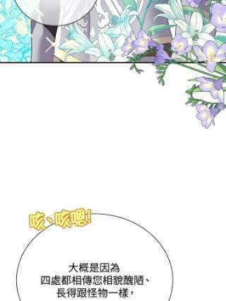 传令鸟公主殿下35话