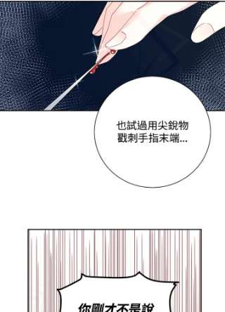 传令鸟公主殿下35话