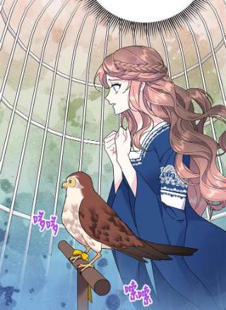 传令鸟公主殿下35话