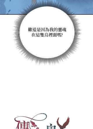 传令鸟公主殿下35话