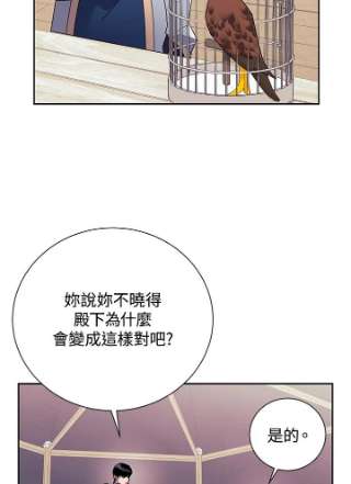 传令鸟公主殿下35话