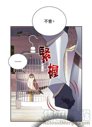 传令鸟公主殿下35话