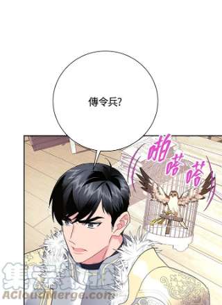 传令鸟公主殿下35话