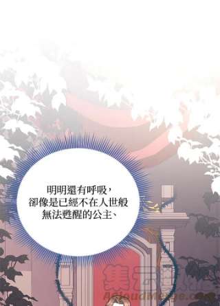 传令鸟公主殿下35话
