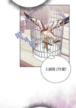 传令鸟公主殿下36话