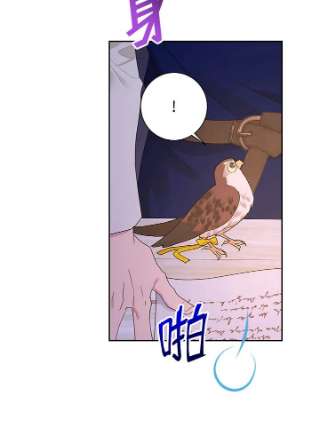 传令鸟公主殿下36话