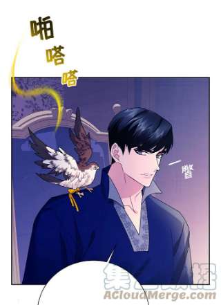 传令鸟公主殿下36话