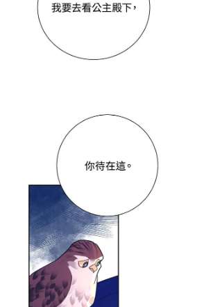 传令鸟公主殿下36话
