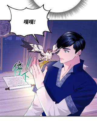 传令鸟公主殿下36话