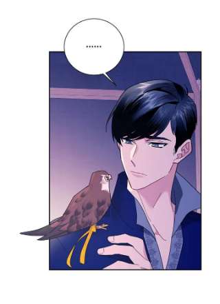 传令鸟公主殿下36话