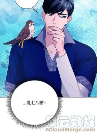 传令鸟公主殿下36话