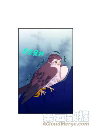 传令鸟公主殿下36话
