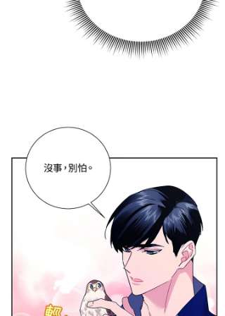 传令鸟公主殿下36话