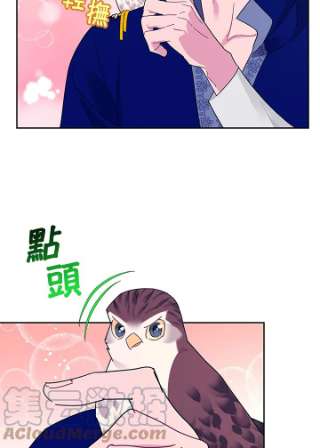 传令鸟公主殿下36话