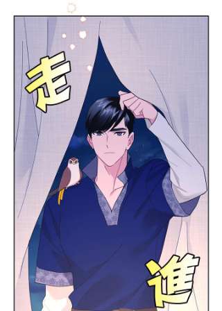 传令鸟公主殿下36话