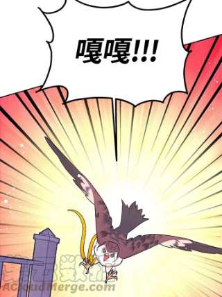 传令鸟公主殿下36话