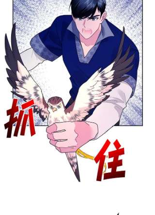 传令鸟公主殿下37话