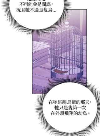传令鸟公主殿下37话