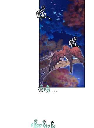 传令鸟公主殿下37话