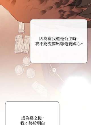 传令鸟公主殿下37话
