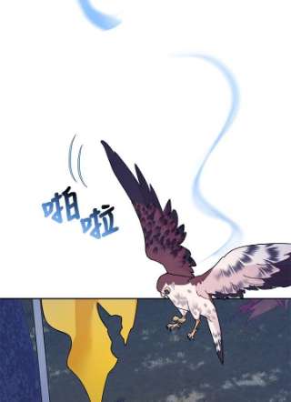 传令鸟公主殿下37话