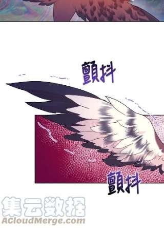 传令鸟公主殿下38话