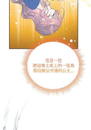 传令鸟公主殿下38话