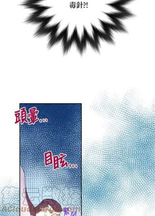传令鸟公主殿下38话