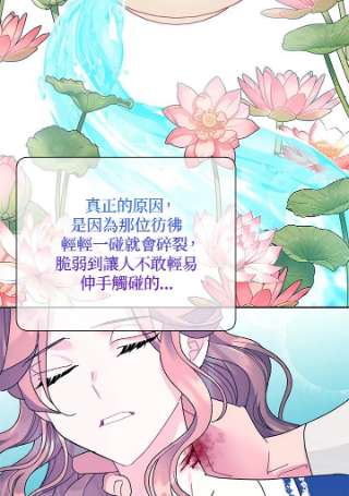 传令鸟公主殿下38话