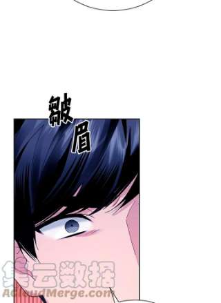 传令鸟公主殿下38话
