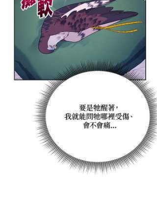 传令鸟公主殿下38话