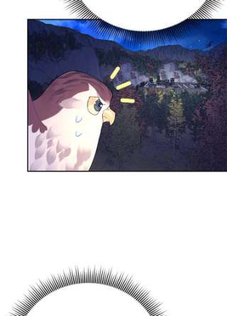 传令鸟公主殿下38话