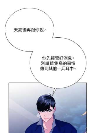 传令鸟公主殿下38话