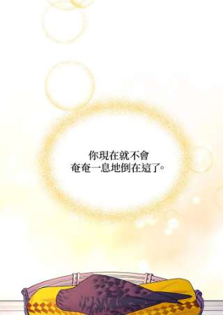 传令鸟公主殿下38话