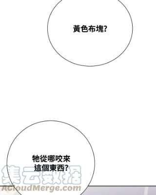 传令鸟公主殿下38话