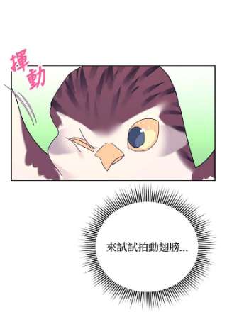 传令鸟公主殿下39话