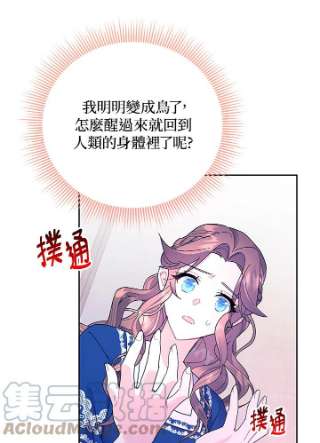 传令鸟公主殿下39话