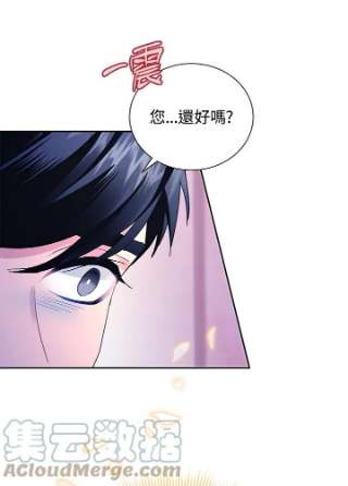 传令鸟公主殿下39话