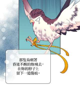 传令鸟公主殿下40话