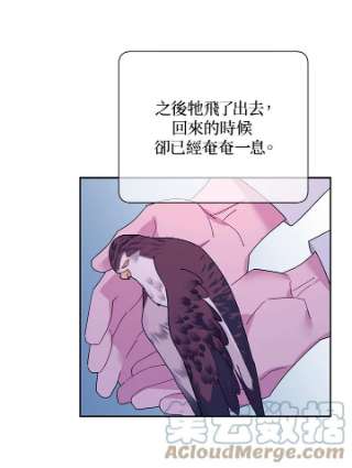 传令鸟公主殿下40话