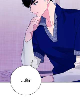 传令鸟公主殿下40话