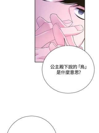 传令鸟公主殿下40话