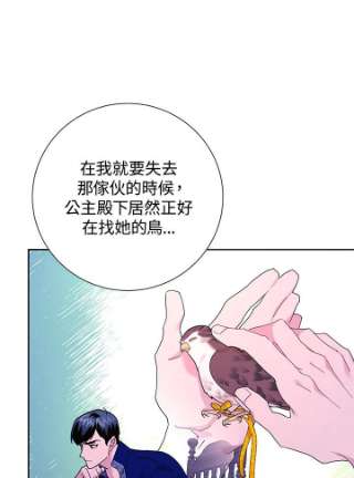 传令鸟公主殿下40话