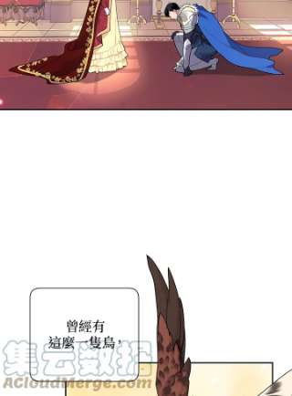 传令鸟公主殿下40话