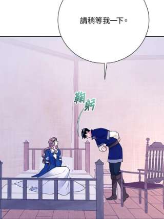 传令鸟公主殿下41话