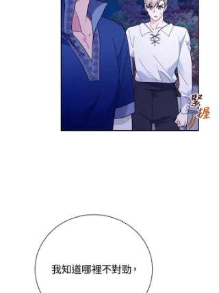 传令鸟公主殿下41话
