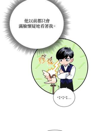 传令鸟公主殿下41话