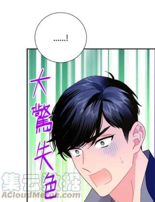传令鸟公主殿下41话