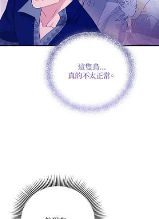 传令鸟公主殿下42话